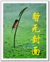 迷离档案