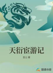 天衍宦游记