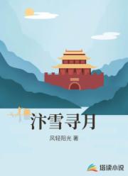 汴雪寻月
